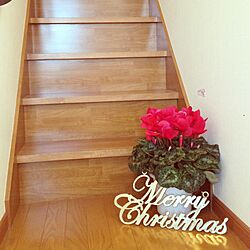玄関/入り口/植物/観葉植物/クリスマスのインテリア実例 - 2013-12-13 13:47:51
