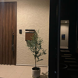 ユーカリ/玄関/入り口のインテリア実例 - 2022-05-21 19:02:29