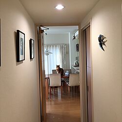 玄関/入り口/鳥/猫/モノクロ写真/つばめのインテリア実例 - 2016-04-05 06:42:54