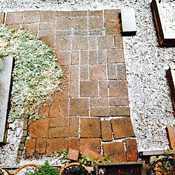 庭/雪の朝/レンガのインテリア実例 - 2015-01-31 13:57:39
