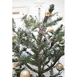 クリスマス/IKEA/生もみの木/ツリー/星のインテリア実例 - 2014-11-26 20:42:30