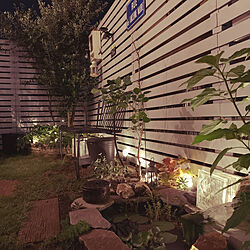 夜の庭/ライトアップ/ビオトープ/DIY/癒しの空間...などのインテリア実例 - 2022-07-25 22:28:16