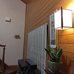 リビング/窓辺のインテリア/観葉植物/照明/DIYのインテリア実例 - 2024-03-29 22:06:39