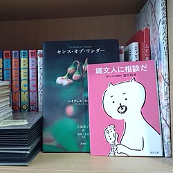 棚/賃貸アパート/賃貸でも楽しく/賃貸でも諦めない！/本棚...などのインテリア実例 - 2023-04-17 17:44:02