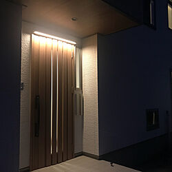 玄関/入り口/照明のインテリア実例 - 2018-08-26 23:04:47