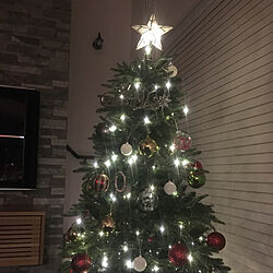リビング/クリスマス/ニトリ/christmas tree/フランフラン...などのインテリア実例 - 2018-12-21 22:13:51