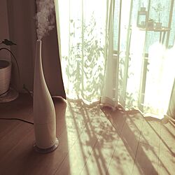 部屋全体/IKEA/観葉植物/塩系インテリアの会/100均のインテリア実例 - 2016-02-27 11:29:08