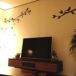 部屋全体/TVボード/植物/間接照明/TV...などのインテリア実例 - 2013-09-20 02:21:01