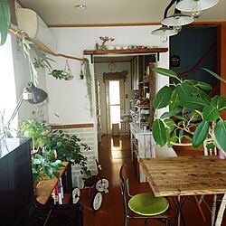 キッチン/植物/観葉植物のある部屋/足場板テーブル/観葉植物...などのインテリア実例 - 2017-05-27 14:27:22