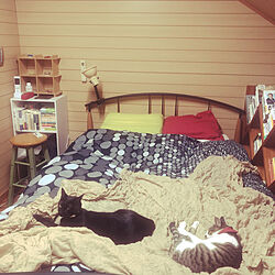 トゥルースリーパー/ベッドで寝る猫たち/ベッド周りの本の収納/ロフトベッド/IKEA...などのインテリア実例 - 2020-11-11 17:55:25