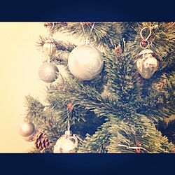 クリスマス/クリスマスツリーのインテリア実例 - 2012-11-17 23:27:28