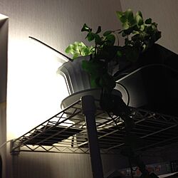 部屋全体/照明/植物のインテリア実例 - 2013-11-27 23:51:26