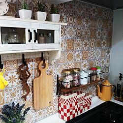 キッチン/フェイクグリーン/多肉植物/DIY/コントワール･ドゥ･ファミーユのインテリア実例 - 2014-10-28 14:29:57