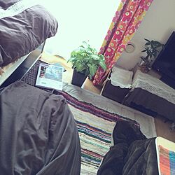 部屋全体/観葉植物/IKEA/一人暮らしのインテリア実例 - 2013-12-04 11:41:31