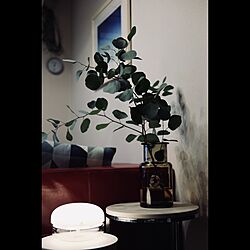 IKEA/空気清浄機&アロマ/アクタスの花瓶/ユーカリ/棚...などのインテリア実例 - 2021-01-01 17:07:33