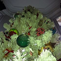 christmas treeのインテリア実例 - 2013-12-02 00:58:38