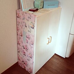 玄関/入り口/DIY/カラーボックスのインテリア実例 - 2013-02-11 15:19:49