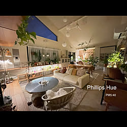 買ってよかったもの/リビング/間接照明のある暮らし/Philips hueのある暮らし/Philips Hue...などのインテリア実例 - 2021-10-31 18:06:54