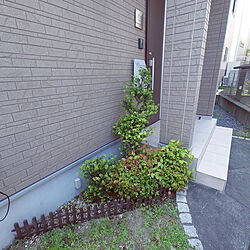 机/家庭菜園/庭のインテリア実例 - 2022-05-05 21:32:49