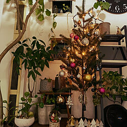 クリスマス/みどりのある暮らし/IKEAのツリー/IKEAの棚のインテリア実例 - 2023-12-06 19:01:24