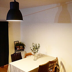 ダイニングテーブル/テーブルクロス/照明/ランプ/IKEA...などのインテリア実例 - 2020-04-08 15:27:06
