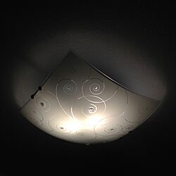 壁/天井/照明のインテリア実例 - 2012-05-21 19:46:44