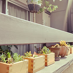 癒しの空間/木のぬくもり/賃貸でも楽しく♪/木目が好き/観葉植物...などのインテリア実例 - 2020-06-02 09:50:54