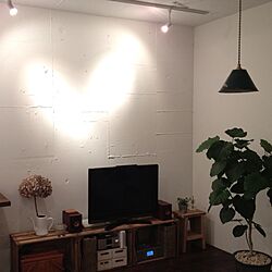 壁/天井/躯体壁/照明/アンティークボックス/植物のインテリア実例 - 2012-09-15 21:32:28