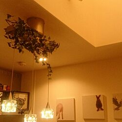 壁/天井/はい、私、ズボラです。/旦那様がぶつかる照明/IKEAのインテリア実例 - 2015-04-14 21:22:47