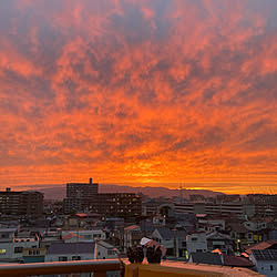 ひさしぶりの投稿/写真がうまく撮れるようになりたい♡/西の空/押し逃げゲリラ、展開中です/シーサーがおるねん...などのインテリア実例 - 2021-06-05 20:05:00