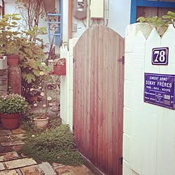 玄関/入り口/DIY/手作り/植物のインテリア実例 - 2013-08-26 20:41:50