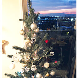クリスマスツリー☆/クリスマス/今日も素敵な１日を♡/いつもありがとうございます(*≧∀≦*)/好きな物を飾る♡...などのインテリア実例 - 2020-12-17 09:17:55