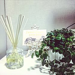 棚/観葉植物/ナチュラル/無印良品/雑貨...などのインテリア実例 - 2017-01-08 19:08:30