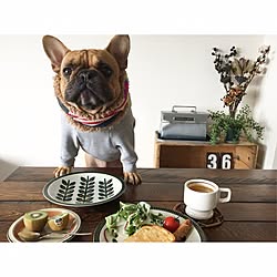 棚/breakfast/ナンバープレート/りんご箱/ドライフラワー...などのインテリア実例 - 2016-11-24 00:10:39