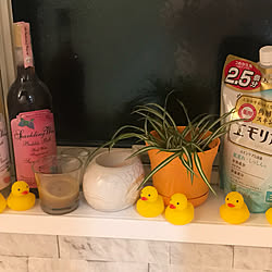 bubble bath/rubber ducky/plants/洗濯機まわりの収納/バス/トイレのインテリア実例 - 2021-12-01 23:05:07