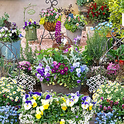 お花でいっぱいに/好きなように寄せ植え/ちいさなお庭/ガーデニング/趣味の園芸...などのインテリア実例 - 2019-04-04 17:28:33