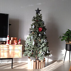 リビング/クリスマス/北欧/観葉植物/縦長の部屋...などのインテリア実例 - 2021-12-09 08:27:36