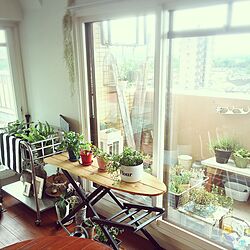 リビング/窓辺のグリーン/窓辺の風景/窓辺/植物...などのインテリア実例 - 2016-06-06 12:47:43