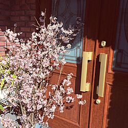 玄関/入り口/桜/ガーデニングのインテリア実例 - 2016-03-21 10:20:05