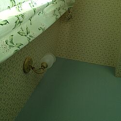壁/天井のインテリア実例 - 2012-05-19 09:14:07