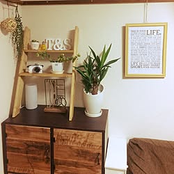 部屋全体/観葉植物のある暮らし/観葉植物/社宅/築30年超...などのインテリア実例 - 2017-02-22 22:12:23