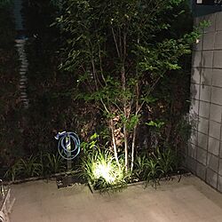 玄関/入り口/庭/木/ライトアップのインテリア実例 - 2017-06-15 23:32:59
