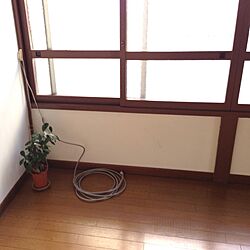 部屋全体/植物のインテリア実例 - 2013-03-21 03:51:34