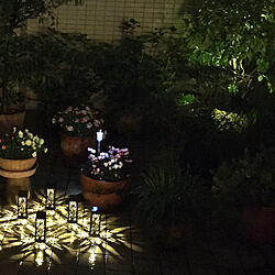 ガーデン/テラス/ソーラーライト/鉢植え/夜の風景...などのインテリア実例 - 2023-03-29 22:04:16