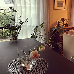 Iittala/IKEAのカーテン/花瓶のお花/雑貨/リビングのインテリア実例 - 2022-03-16 06:45:07