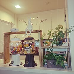 棚/雑貨/観葉植物/植物/手作り...などのインテリア実例 - 2015-01-22 18:46:17