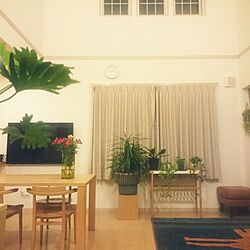 部屋全体/大塚家具/ギャッベ/IKEA/植物に囲まれ隊のインテリア実例 - 2017-05-30 21:17:42