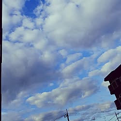 壁/天井/綺麗な空のように/心も澄ませて。/Blue Clover/箱根駅伝頑張れー。...などのインテリア実例 - 2017-01-02 08:45:52