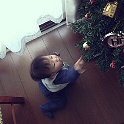 部屋全体/クリスマスツリー☆のインテリア実例 - 2013-12-19 00:53:44