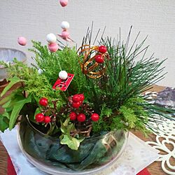 お正月アレンジ/植物/雑貨のインテリア実例 - 2013-12-26 21:25:23